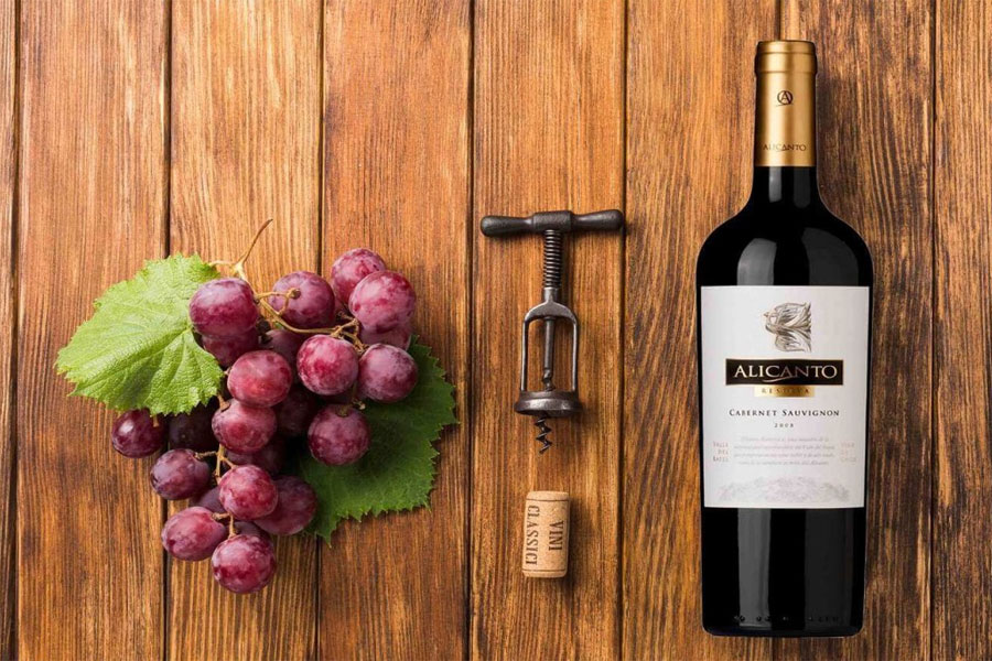 Alicanto Reserva Merlot trẻ trung hiện đại