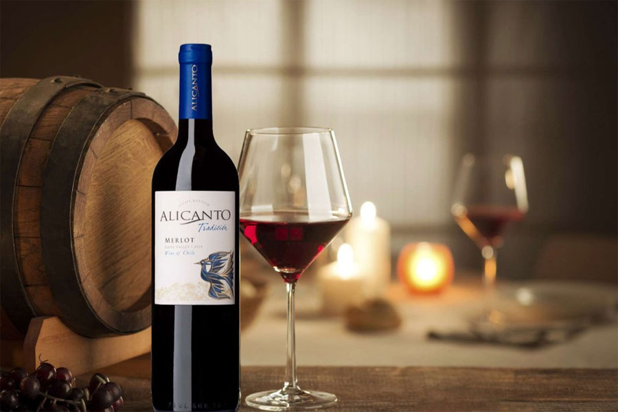 Alicanto Tradicion Merlot là sản phẩm nổi bật của thương hiệu
