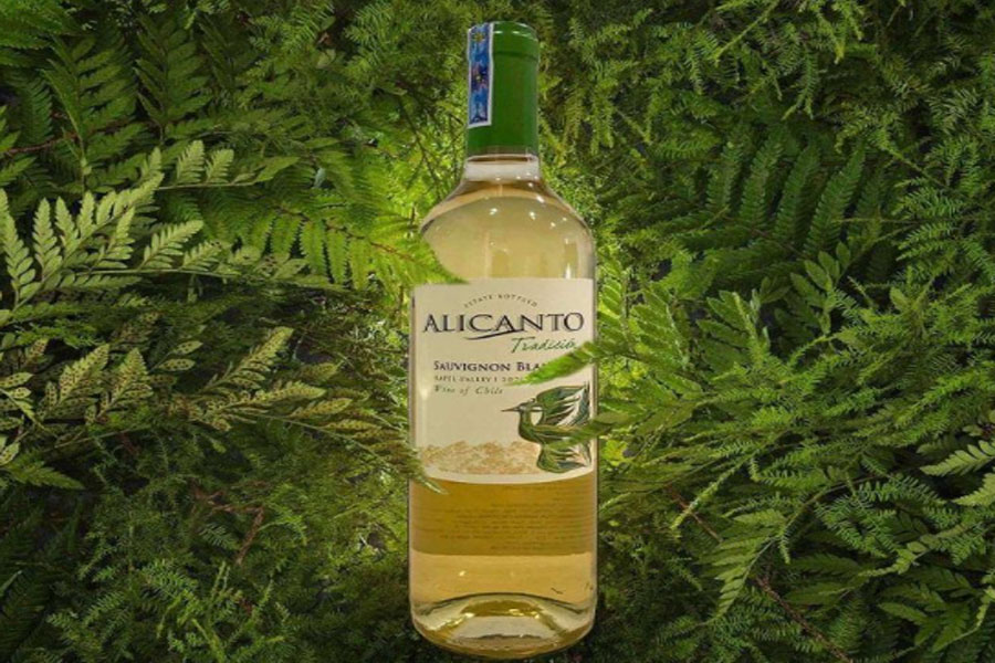 Alicanto Tradicion Sauvignon Blanc là dòng vang trắng nổi bật của Chile