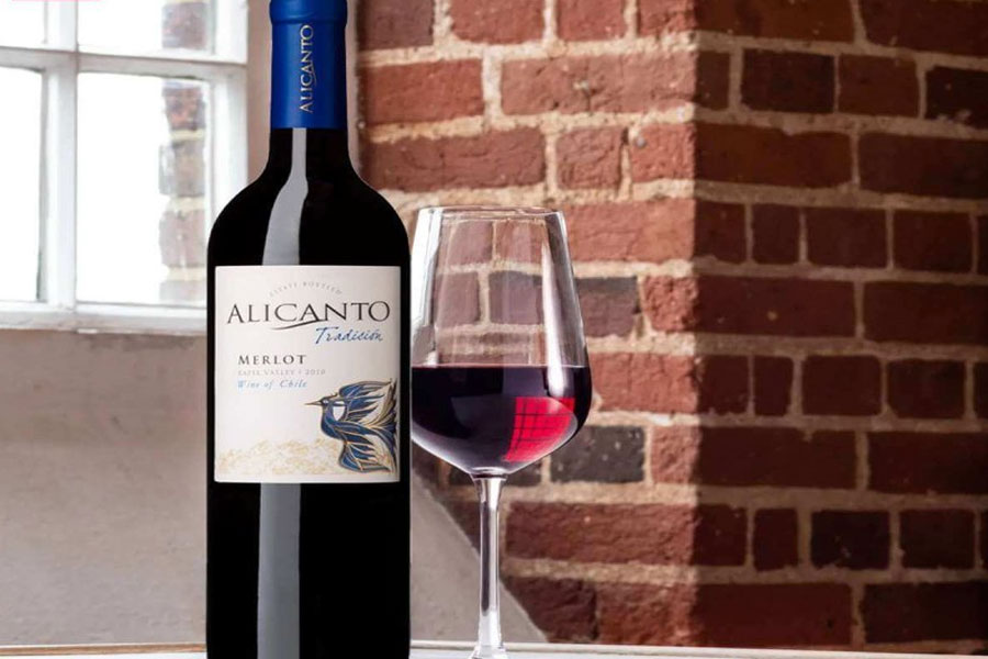 Dòng sản phẩm rượu vang Alicanto Tradicion Merlot