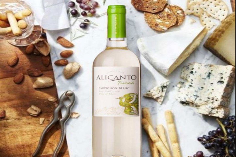 Thưởng thức Alicanto Tradicion Sauvignon Blanc đúng cách