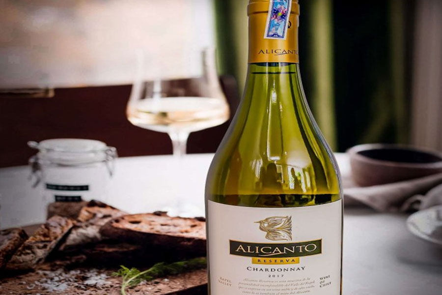 Thưởng thức rượu vang Alicanto Reserva Chardonnay