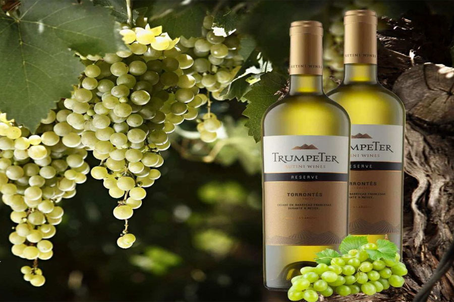 Trumpeter Reserve Torrontes - Vang trắng Argentina cao cấp