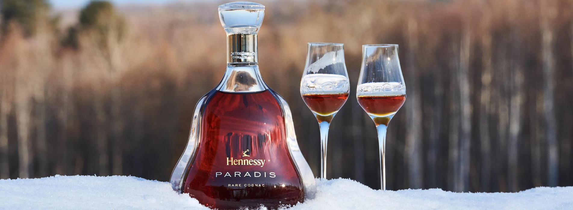 Banner Moet Hennessy