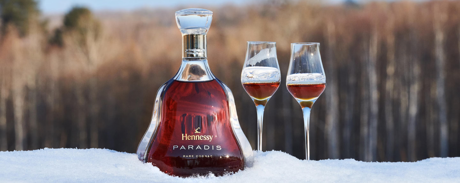 Banner Moet Hennessy