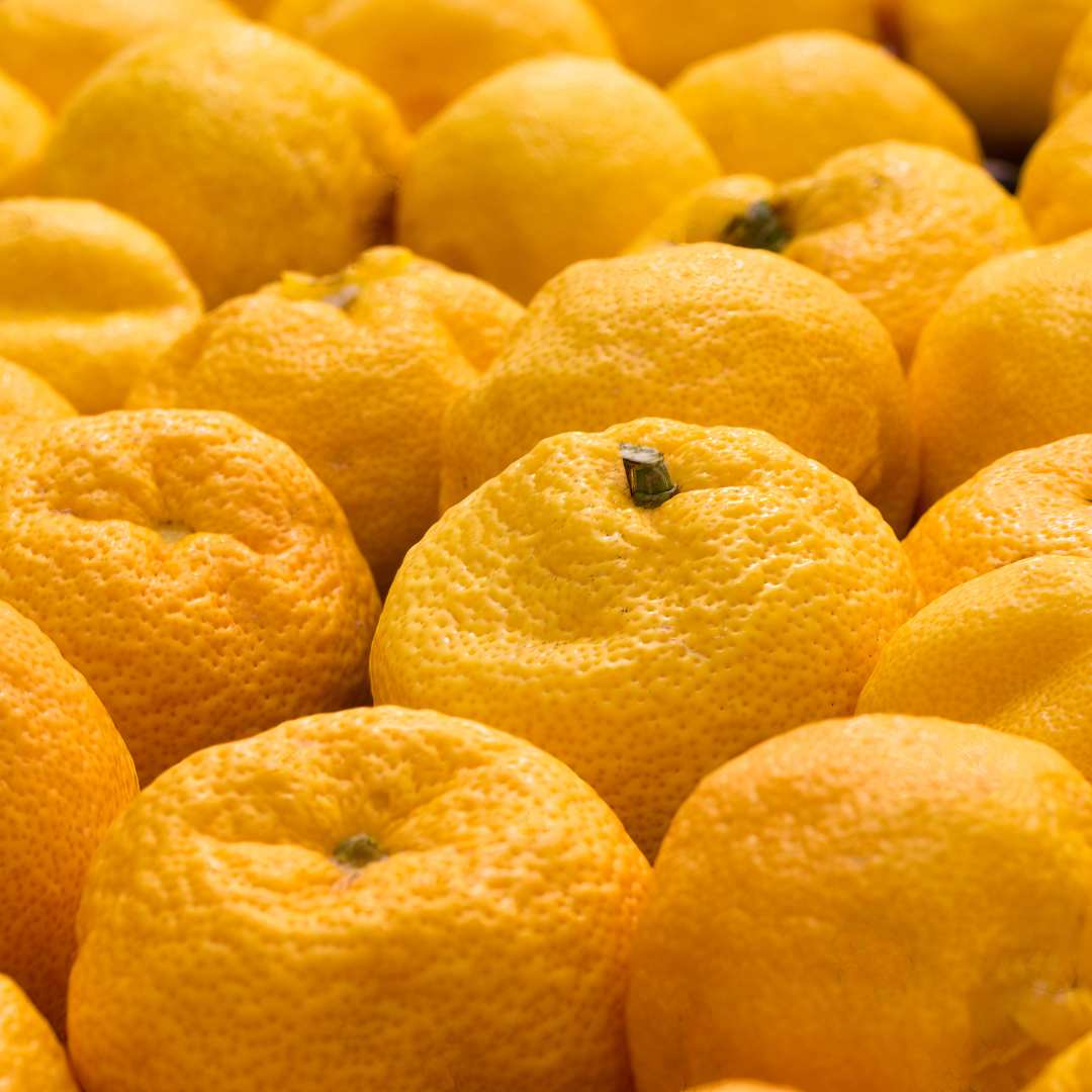 Chanh Yuzu