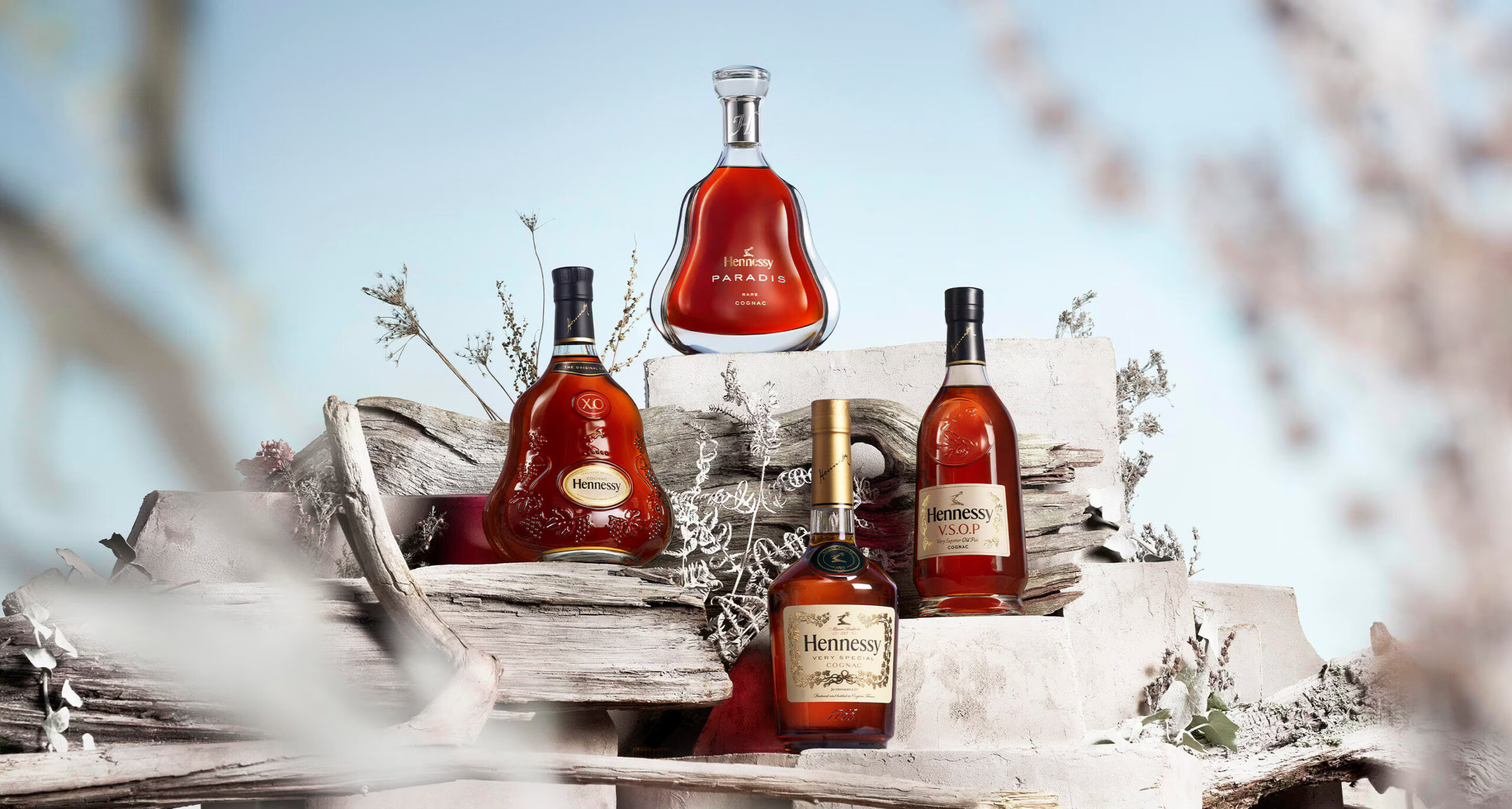 Banner Moet Hennessy