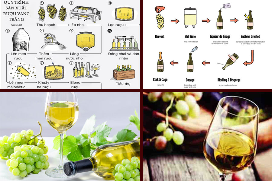 Quy trình sản xuất rượu vang trắng cơ bản