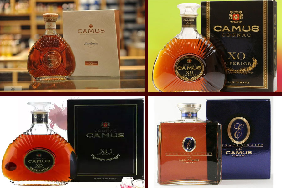 Rượu Cognac Camus tinh tế và truyền thống