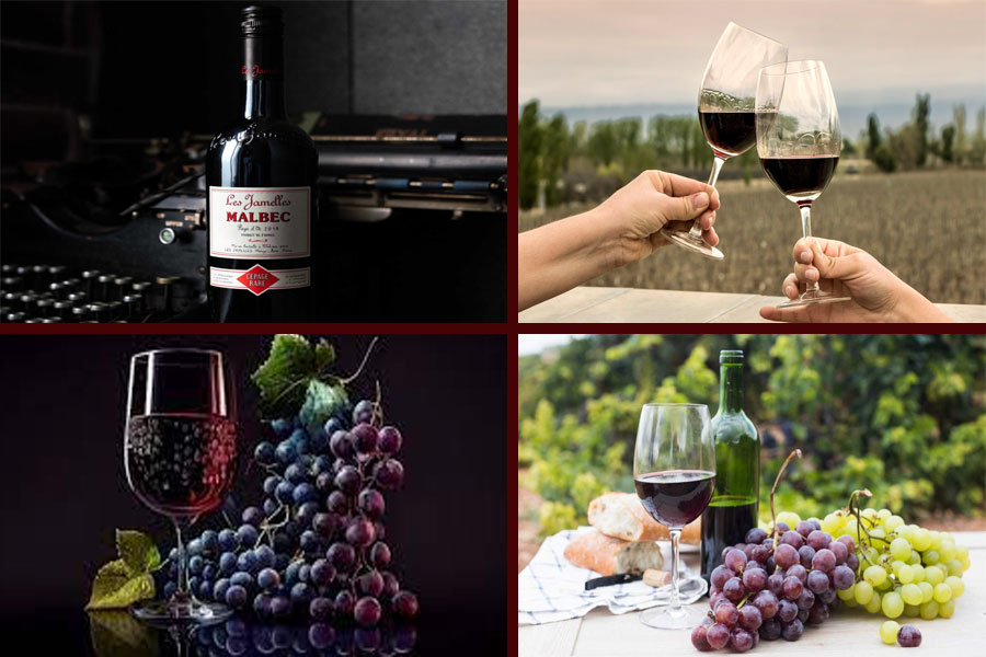 Rượu vang đỏ Malbec là niềm tự hào của Mendoza