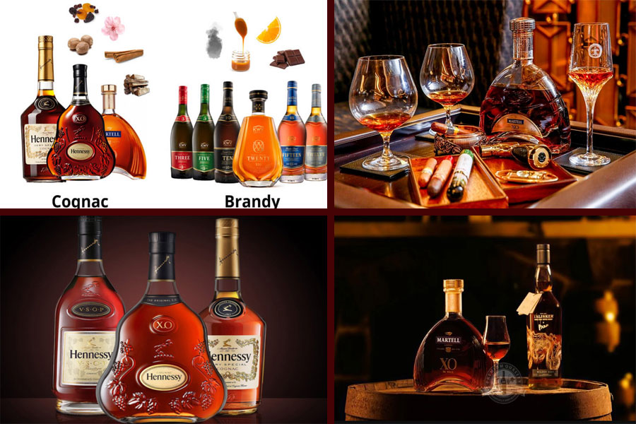 Sự khác biệt giữa Cognac và rượu Brandy