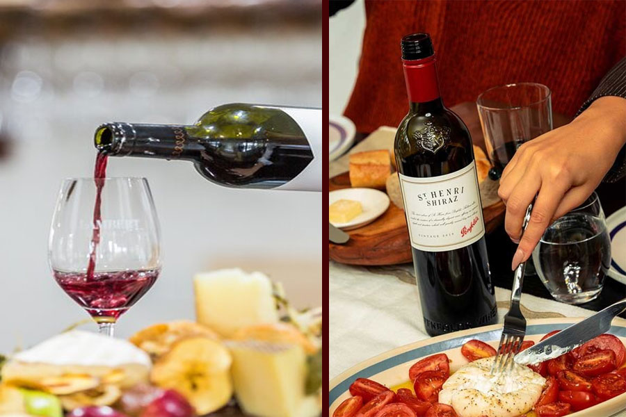 Hướng dẫn sử dụng rượu Penfolds đúng cách