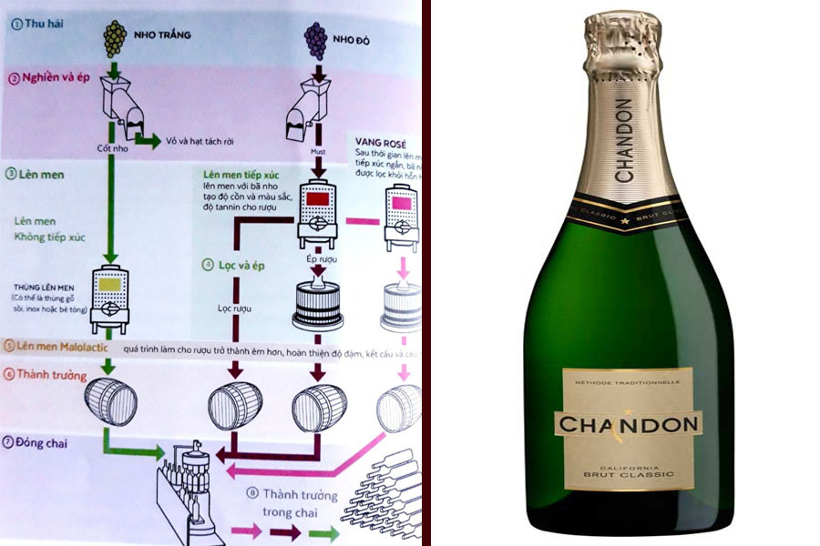 Quy trình sản xuất Chandon cơ bản