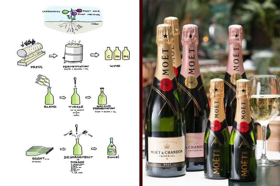 Quy trình sản xuất Moet & Chandon cơ bản