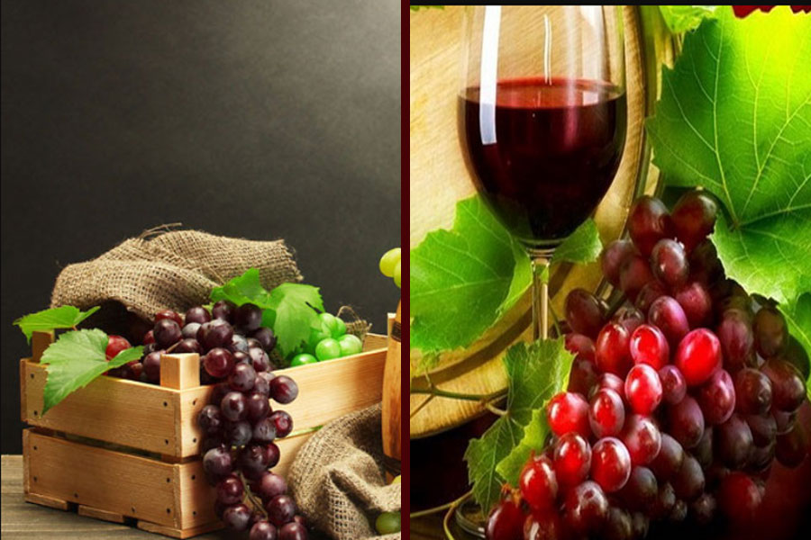 Quy trình sản xuất rượu Alicanto