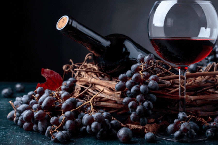 Nồng độ cồn rượu vang quyết định bởi hàm lượng đường trong nho nguyên liệu