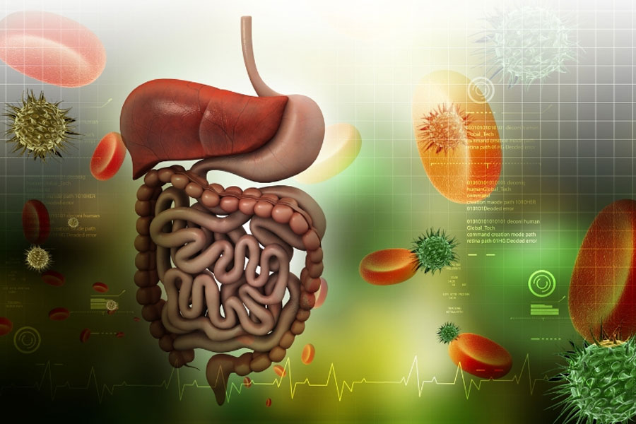 Chỉ có thời gian mới giúp cơ thể đào thải cồn